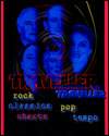 Traveller 5 piece all round band with female vocalist. 